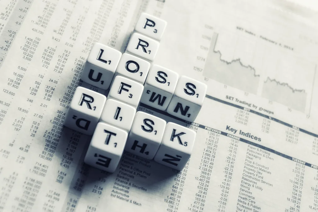 Investor risk profile